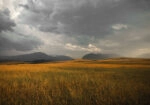 Πίνακας σε Καμβά RUSTIC FARMHOUSE FIELD 10