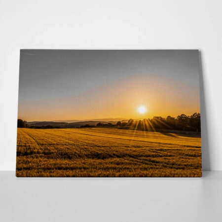Πίνακας σε Καμβά RUSTIC FARMHOUSE FIELD 2 - 