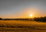 Πίνακας σε Καμβά RUSTIC FARMHOUSE FIELD 2
