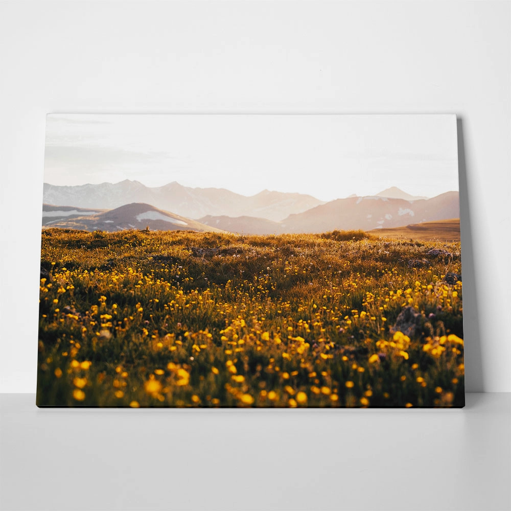 Πίνακας σε Καμβά RUSTIC FARMHOUSE FIELD 3
