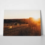 Πίνακας σε Καμβά RUSTIC FARMHOUSE FIELD 4