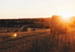 Πίνακας σε Καμβά RUSTIC FARMHOUSE FIELD 4