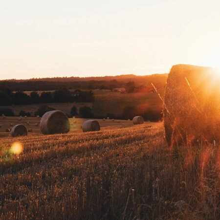 Πίνακας σε Καμβά RUSTIC FARMHOUSE FIELD 4 -  Sticky 5