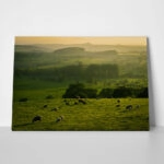 Πίνακας σε Καμβά RUSTIC FARMHOUSE FIELD 5