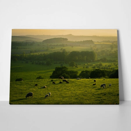 Πίνακας σε Καμβά RUSTIC FARMHOUSE FIELD 5 - 