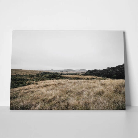 Πίνακας σε Καμβά RUSTIC FARMHOUSE FIELD 6 - 