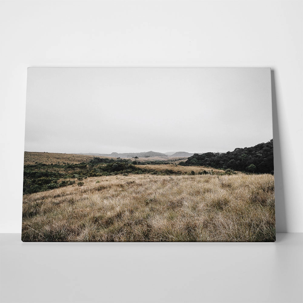 Πίνακας σε Καμβά RUSTIC FARMHOUSE FIELD 6