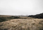 Πίνακας σε Καμβά RUSTIC FARMHOUSE FIELD 6