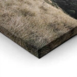 Πίνακας σε Καμβά RUSTIC FARMHOUSE FIELD 6