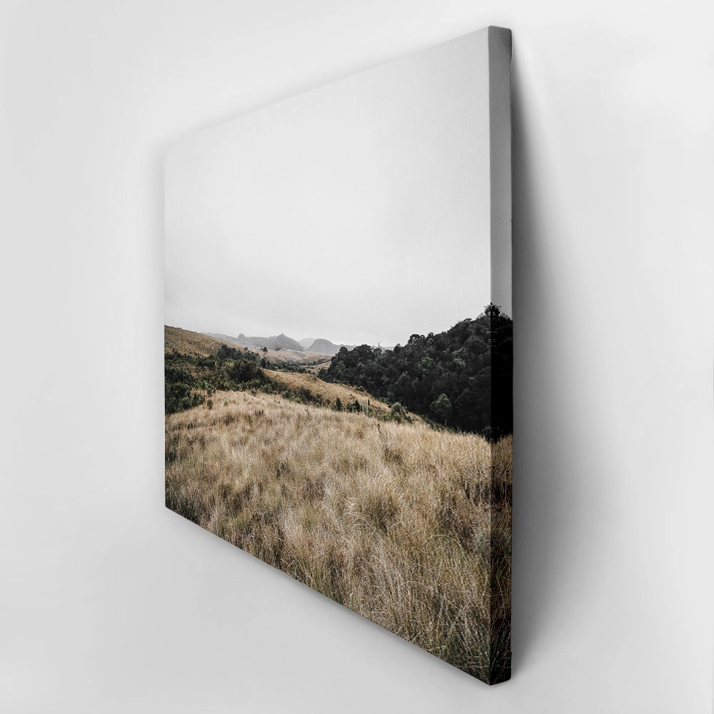 Πίνακας σε Καμβά RUSTIC FARMHOUSE FIELD 6