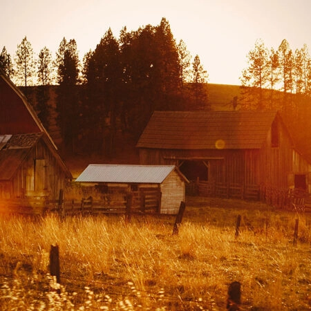Πίνακας σε Καμβά RUSTIC FARMHOUSE FIELD CABIN 10 -  Sticky 5