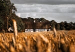 Πίνακας σε Καμβά RUSTIC FARMHOUSE FIELD CABIN 4