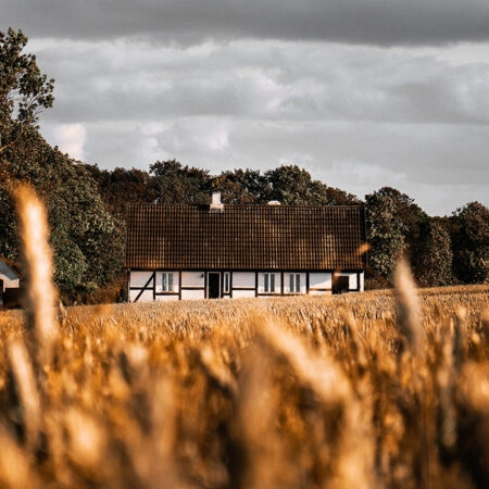 Πίνακας σε Καμβά RUSTIC FARMHOUSE FIELD CABIN 4 -  Sticky 5