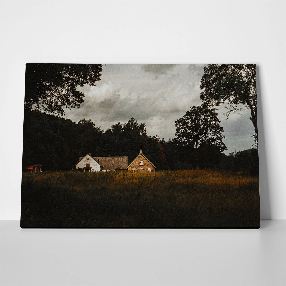 Πίνακας σε Καμβά RUSTIC FARMHOUSE FIELD CABIN 5