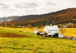 Πίνακας σε Καμβά RUSTIC FARMHOUSE FIELD CABIN 7