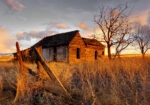 Πίνακας σε Καμβά RUSTIC FARMHOUSE FIELD CABIN 9
