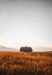 Πίνακας σε Καμβά RUSTIC FARMHOUSE FIELD CABIN