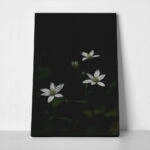 Πίνακας σε Καμβά RUSTIC FARMHOUSE FLOWERS 3
