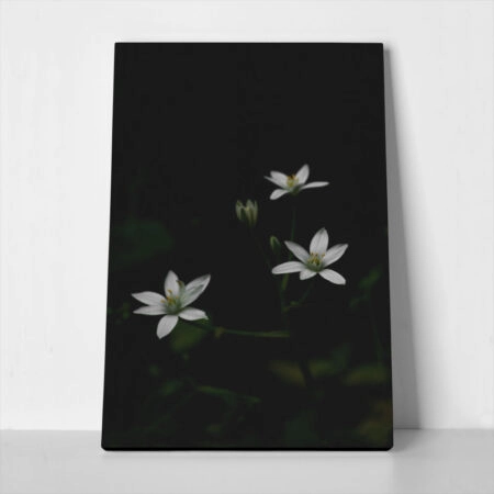 Πίνακας σε Καμβά RUSTIC FARMHOUSE FLOWERS 3