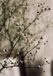 Πίνακας σε Καμβά RUSTIC FARMHOUSE FLOWERS 4