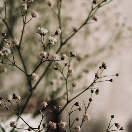 Πίνακας σε Καμβά RUSTIC FARMHOUSE FLOWERS 4 -  Sticky 5