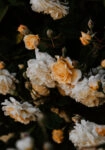 Πίνακας σε Καμβά RUSTIC FARMHOUSE FLOWERS