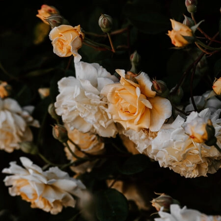 Πίνακας σε Καμβά RUSTIC FARMHOUSE FLOWERS -  Sticky 5