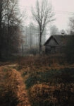 Πίνακας σε Καμβά RUSTIC FARMHOUSE FOREST CABIN 2