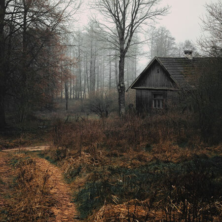 Πίνακας σε Καμβά RUSTIC FARMHOUSE FOREST CABIN 2 -  Sticky 5