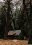 Πίνακας σε Καμβά RUSTIC FARMHOUSE FOREST CABIN 3