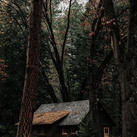 Πίνακας σε Καμβά RUSTIC FARMHOUSE FOREST CABIN 3 -  Sticky 5
