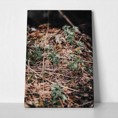 Πίνακας σε Καμβά RUSTIC FARMHOUSE FOREST FLOOR - 
