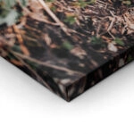 Πίνακας σε Καμβά RUSTIC FARMHOUSE FOREST FLOOR
