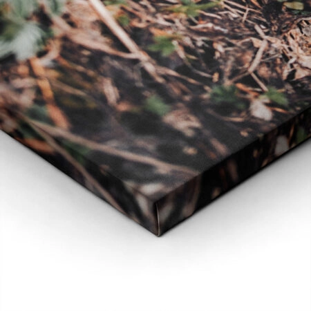 Πίνακας σε Καμβά RUSTIC FARMHOUSE FOREST FLOOR -  Sticky 1