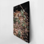 Πίνακας σε Καμβά RUSTIC FARMHOUSE FOREST FLOOR