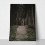 Πίνακας σε Καμβά RUSTIC FARMHOUSE FOREST PATH