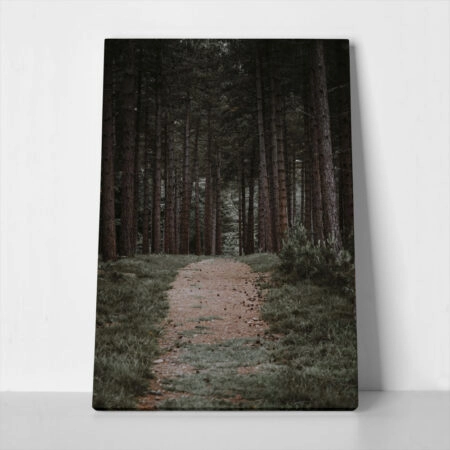 Πίνακας σε Καμβά RUSTIC FARMHOUSE FOREST PATH - 
