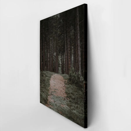 Πίνακας σε Καμβά RUSTIC FARMHOUSE FOREST PATH -  Sticky 2