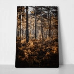 Πίνακας σε Καμβά RUSTIC FARMHOUSE FOREST TREES