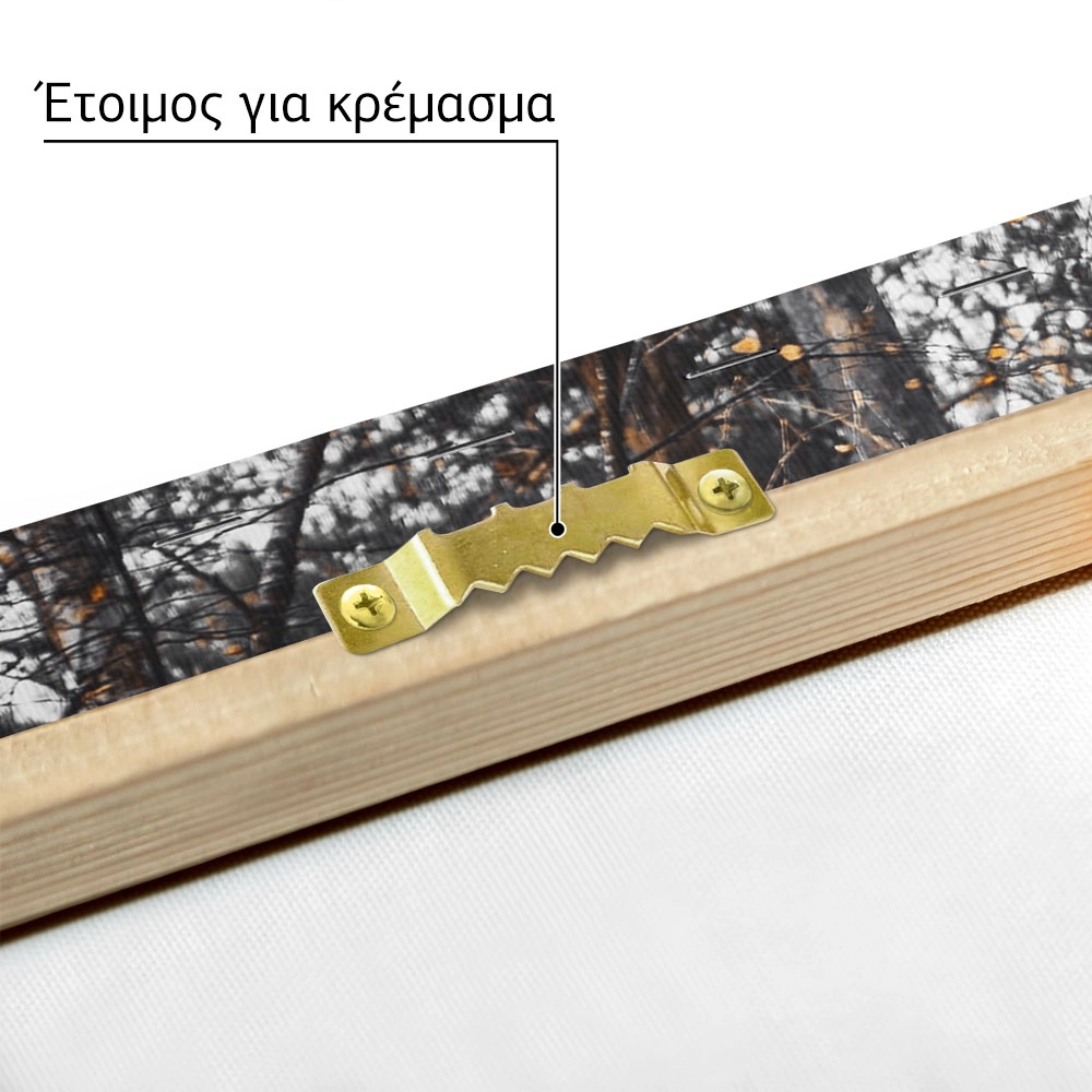 Πίνακας σε Καμβά RUSTIC FARMHOUSE FOREST TREES