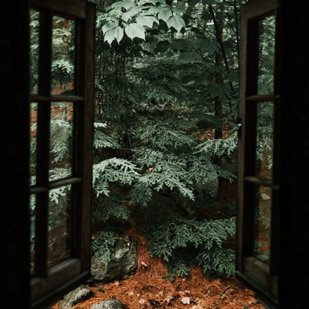 Πίνακας σε Καμβά RUSTIC FARMHOUSE FOREST WINDOW -  Sticky 5