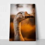 Πίνακας σε Καμβά RUSTIC FARMHOUSE GOOSE