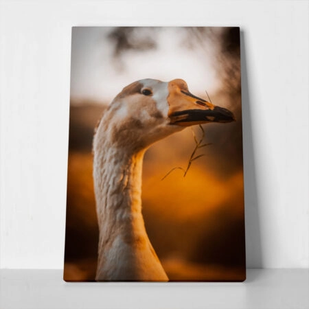 Πίνακας σε Καμβά RUSTIC FARMHOUSE GOOSE - 