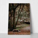 Πίνακας σε Καμβά RUSTIC FARMHOUSE HOG 2