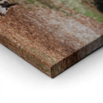 Πίνακας σε Καμβά RUSTIC FARMHOUSE HOG 2