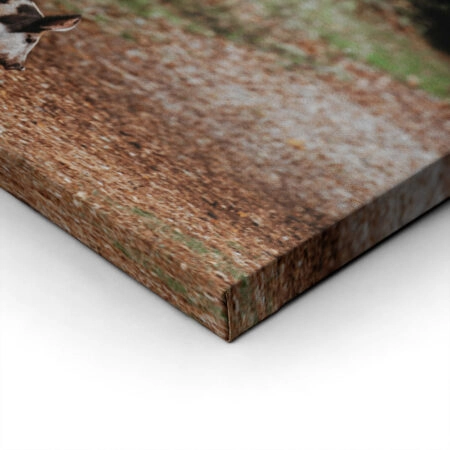 Πίνακας σε Καμβά RUSTIC FARMHOUSE HOG 2 -  Sticky 1