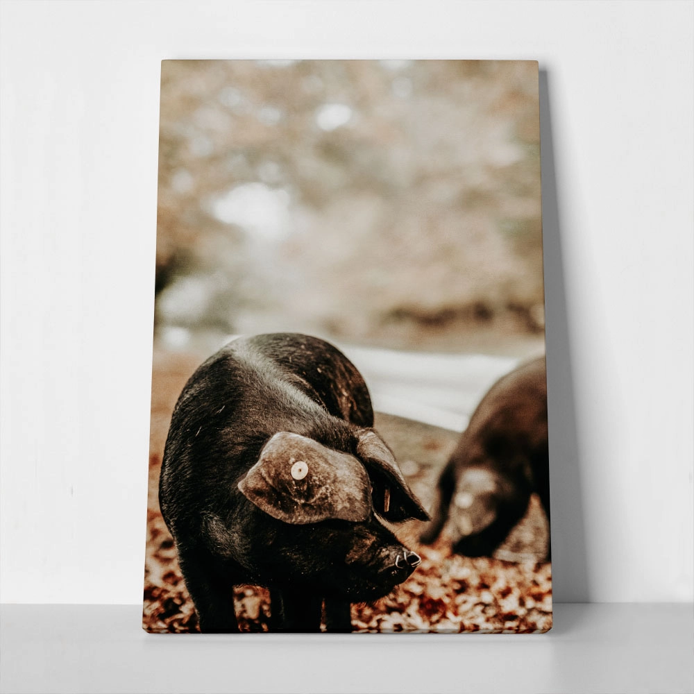 Πίνακας σε Καμβά RUSTIC FARMHOUSE HOG 3