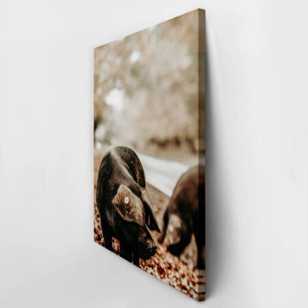 Πίνακας σε Καμβά RUSTIC FARMHOUSE HOG 3 -  Sticky 2