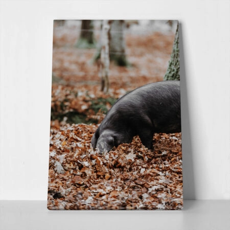Πίνακας σε Καμβά RUSTIC FARMHOUSE HOG - 