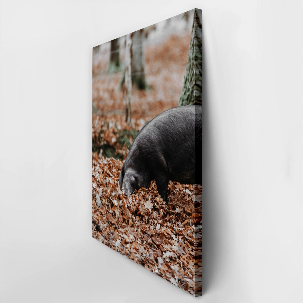 Πίνακας σε Καμβά RUSTIC FARMHOUSE HOG